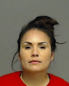 Warrant photo of ANDRIANNA  CASTRO