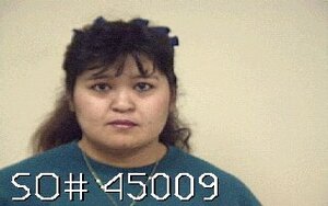 Warrant photo of TERRIE  HERNANDEZ
